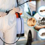 Pest Control London